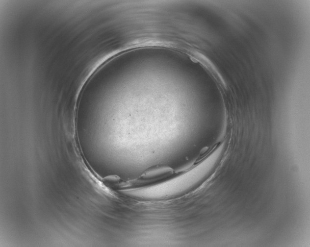 X0000065261244200602171446