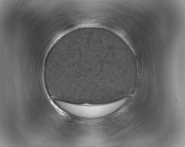 X0000065261245200602171446