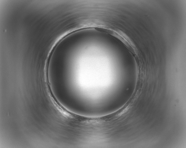 X0000065261246200602171446