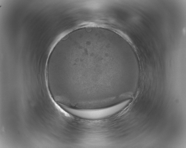 X0000065261247200602171446