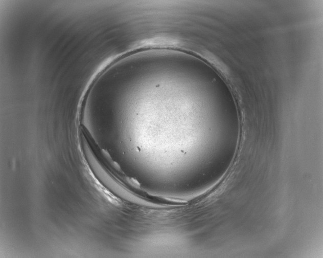 X0000065261248200602171446