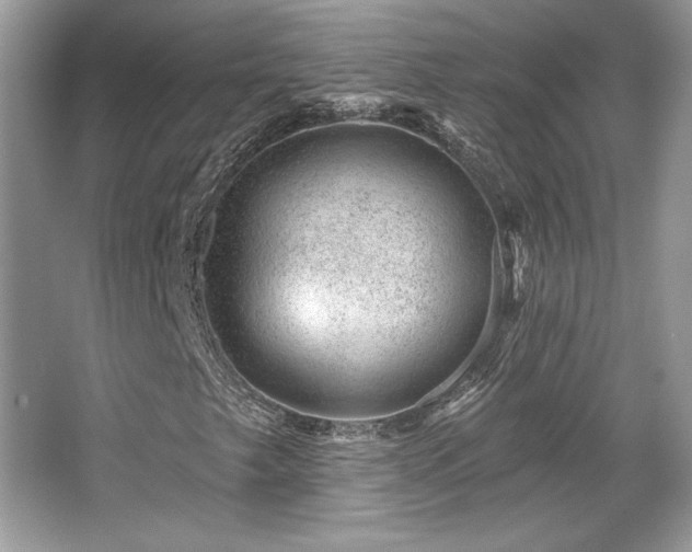 X0000065261249200602171445