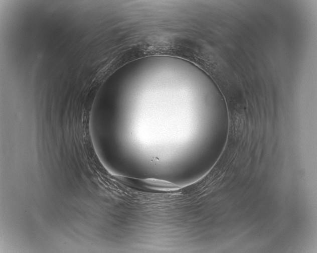 X0000065261250200602171445