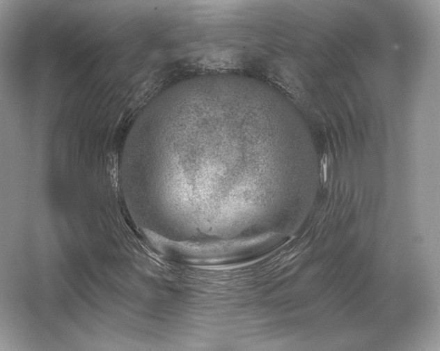 X0000065261251200602171445