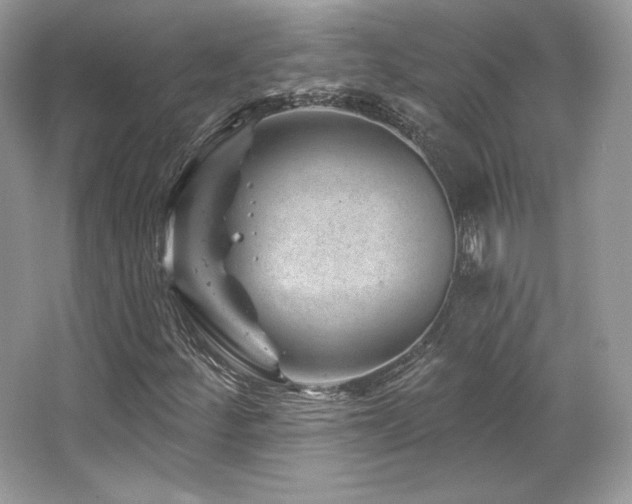 X0000065261252200602171445