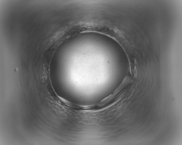 X0000065261253200602171445