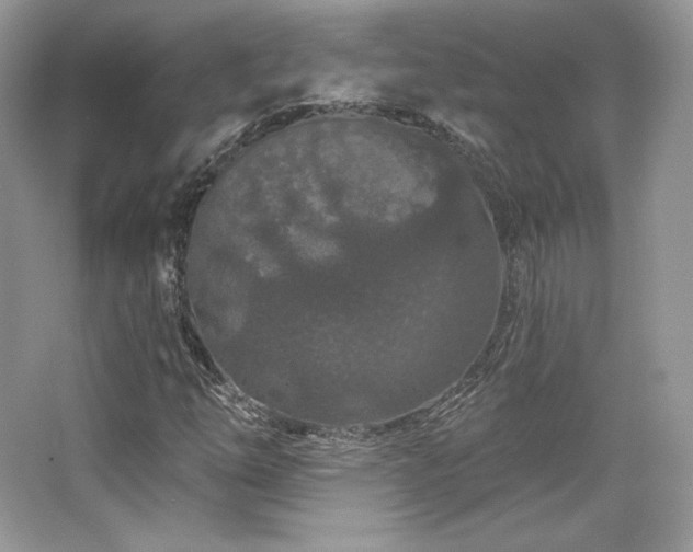 X0000065261254200602171445