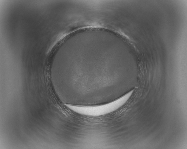 X0000065261255200602171445