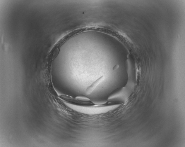 X0000065261256200602171445