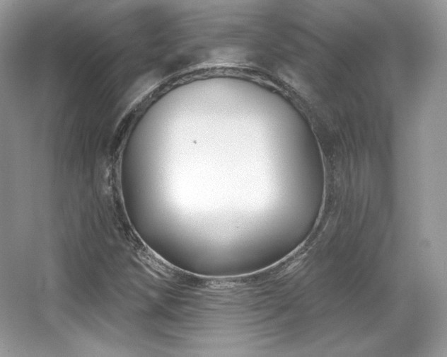 X0000065261258200602171445