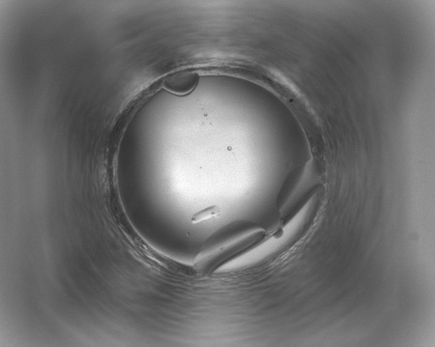 X0000065261259200602171445