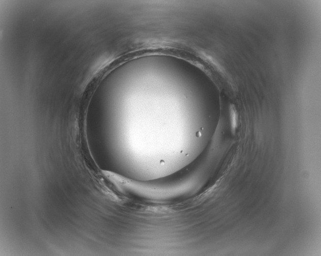 X0000065261261200602171445