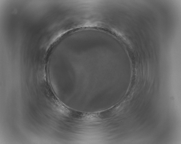 X0000065261262200602171445