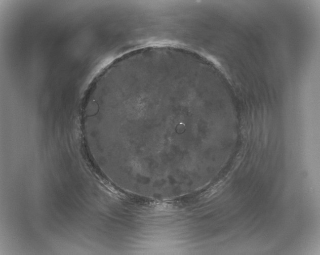 X0000065261263200602171445