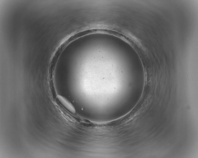 X0000065261264200602171445