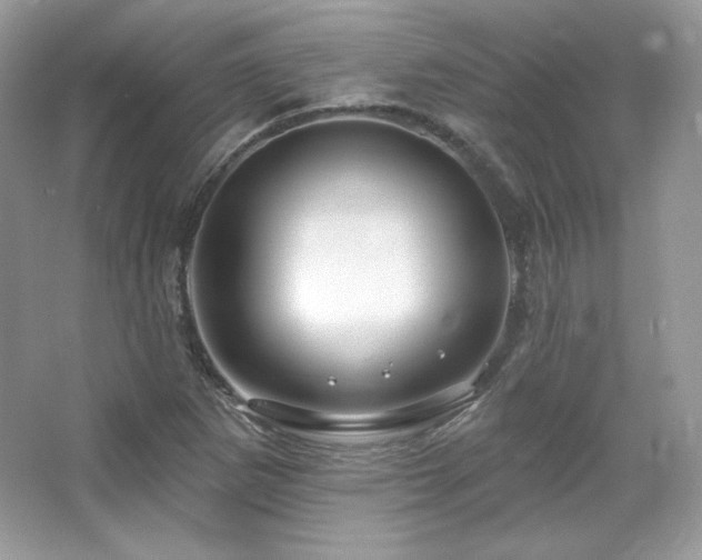 X0000065261265200602171445