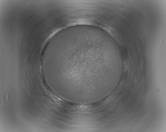 X0000065261266200602171445