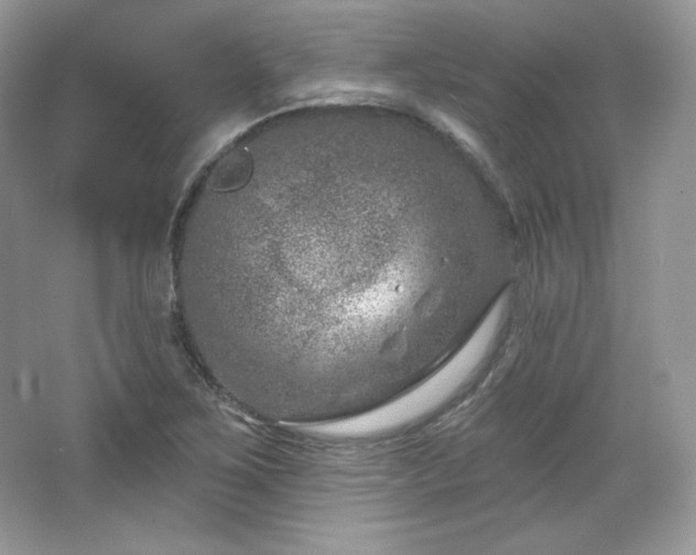 X0000065261267200602171445