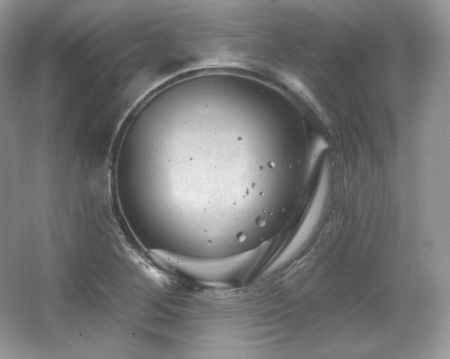 X0000065261268200602171445