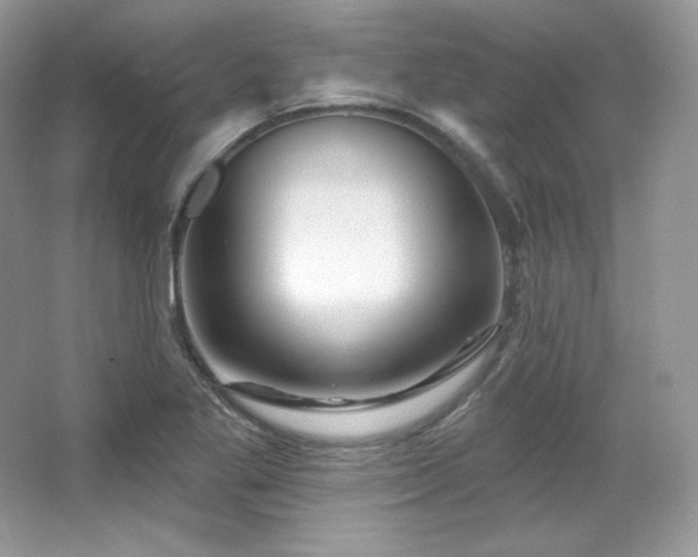 X0000065261269200602171445