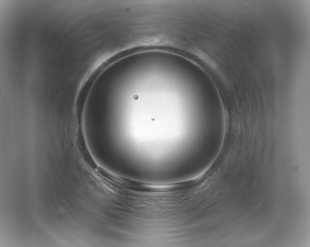 X0000065261270200602171445