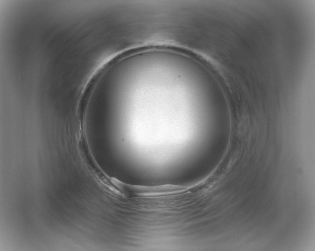 X0000065261271200602171445