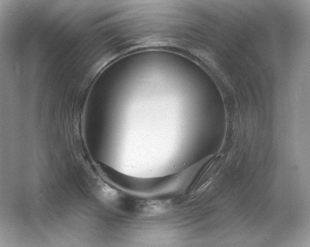 X0000065261273200602171445