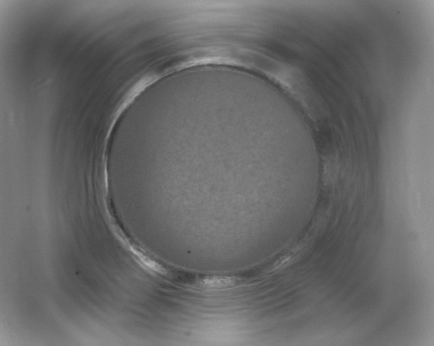 X0000065261274200602171445