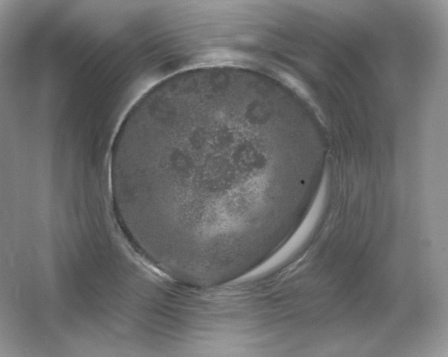 X0000065261275200602171445