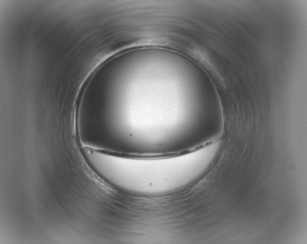 X0000065261276200602171445