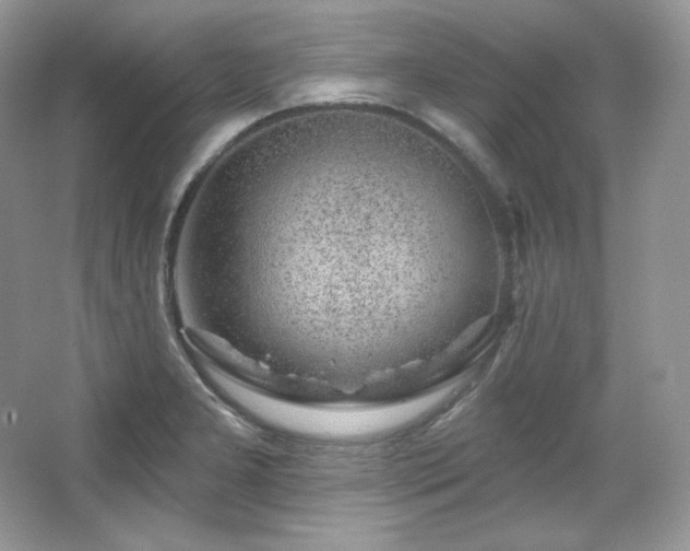 X0000065261277200602171445