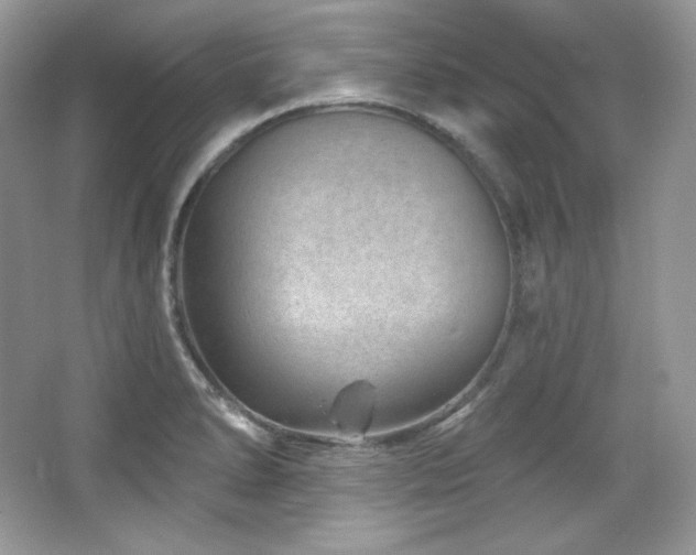 X0000065261278200602171445