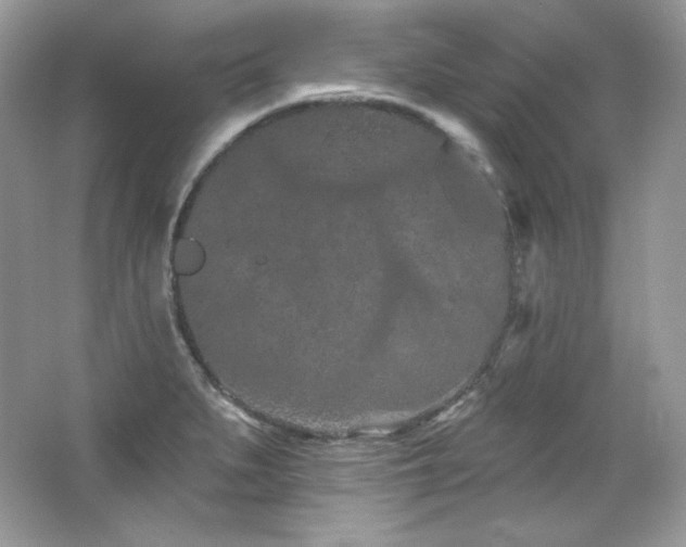 X0000065261279200602171445