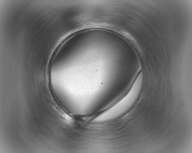 X0000065261280200602171445