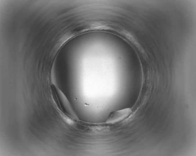 X0000065261281200602171445