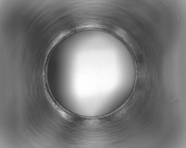 X0000065261282200602171445