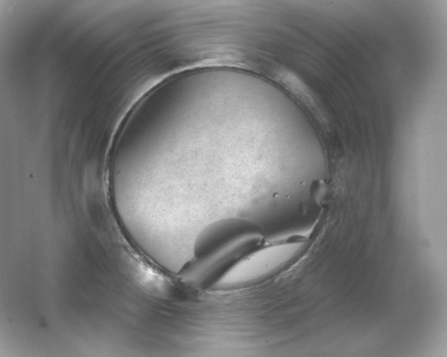 X0000065261284200602171445