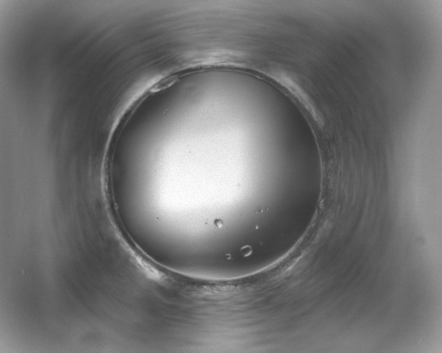 X0000065261285200602171445