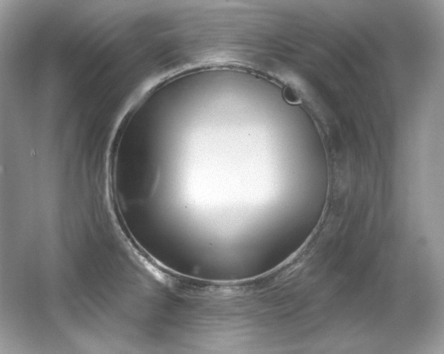 X0000065261286200602171444