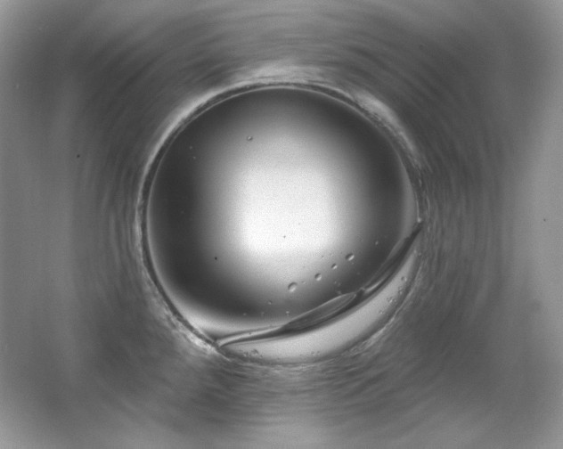 X0000065261288200602171444