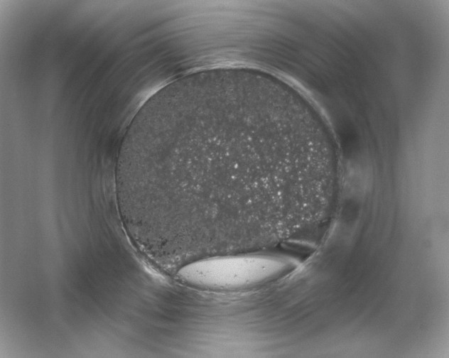 X0000065261289200602171444