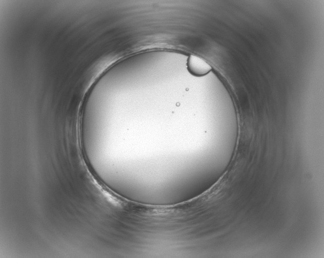 X0000065261290200602171444