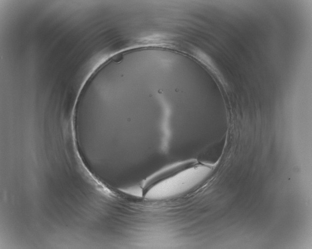 X0000065261291200602171444