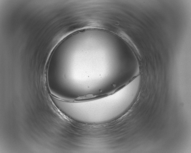 X0000065261292200602171444