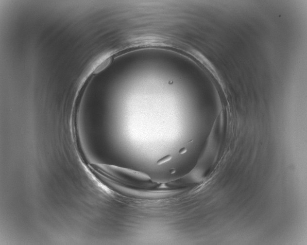 X0000065261293200602171444