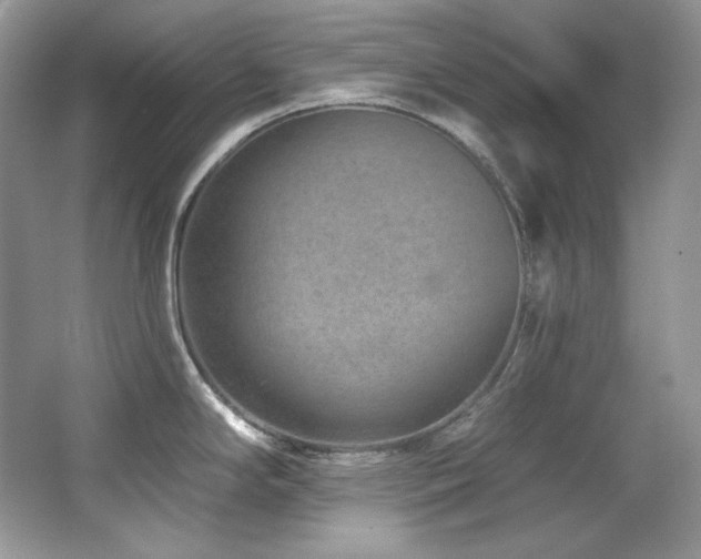 X0000065261294200602171444