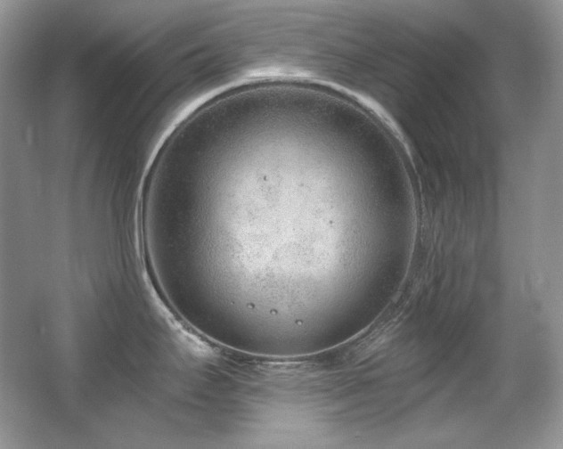 X0000065261295200602171444