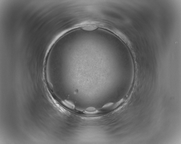 X0000065261296200602171444