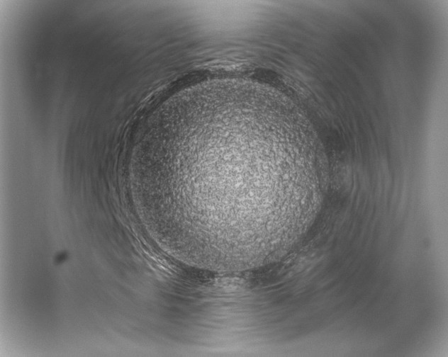 X0000065261297200602171443