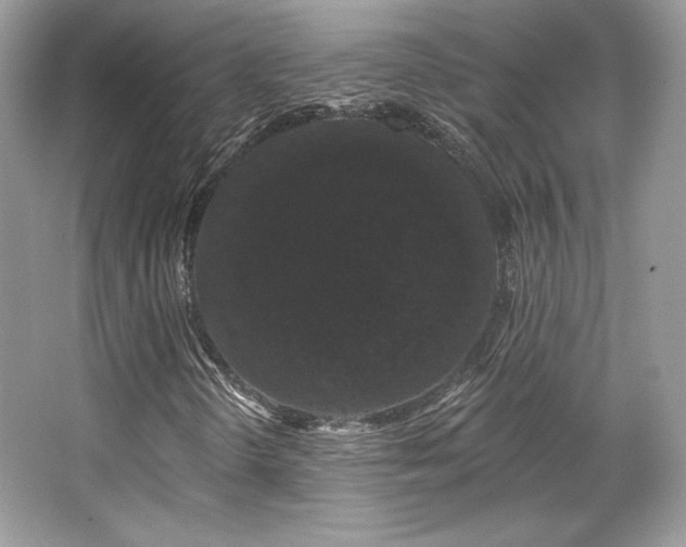 X0000065261298200602171444